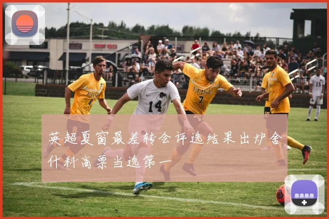 英超夏窗最差转会评选结果出炉舍什科高票当选第一